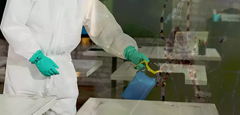 Why Buyers Still Want Homes With Pest Infestations in Nashville, TN?